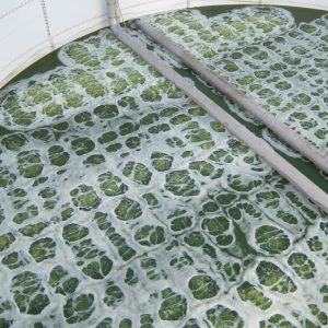 F18  FlexAir® Pro Fine Bubble Diffusers