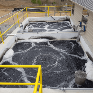 BioPorts™ Integrated Fixed-film Activated Sludge (IFAS)